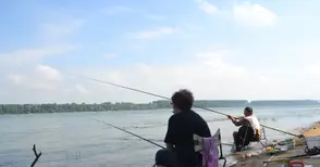 Забраняват за три години риболова  в 17 участъка на река Дунав