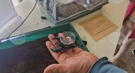 Снимка: БТА