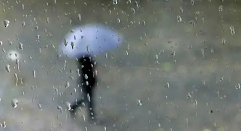 Жълт код в цялата страна заради дъжд, сняг и вятър