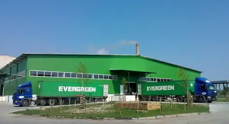 "Свилоза" временно спира работа заради липса на дървесина "Свилоза" временно спира работа заради липса на дървесина