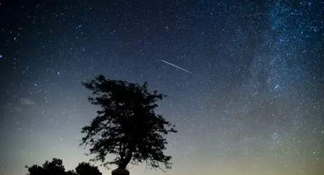 "Падащи звезди" в първите нощи на новата 2014 "Падащи звезди" в първите нощи на новата 2014