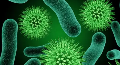 Мутация в британския вариант на коронавируса, типична за бразилския, е установена у нас Мутация в британския вариант на коронавируса, типична за бразилския, е установена у нас