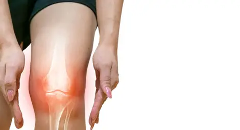 Снимка: salvia.bg Снимка: salvia.bg