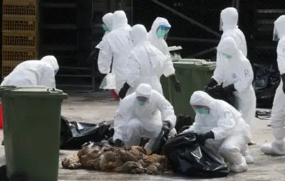 Учени: Новият птичи грип може да е особено опасен