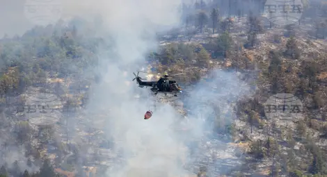 Снимка: БТА