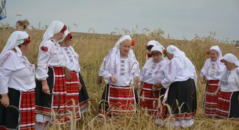 Кирил Вътев на откриването на жътвата: Реколтата ще е около или над средната, много неща освен зърното определят цената на хляба