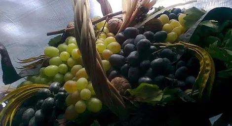 Ученици от Образцов чифлик правят възстановка на земеделска изложба от 19-и век Ученици от Образцов чифлик правят възстановка на земеделска изложба от 19-и век