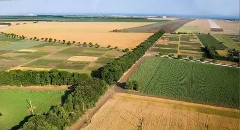 Фирма пробутала на бизнесмен ипотекирани ниви край Иваново