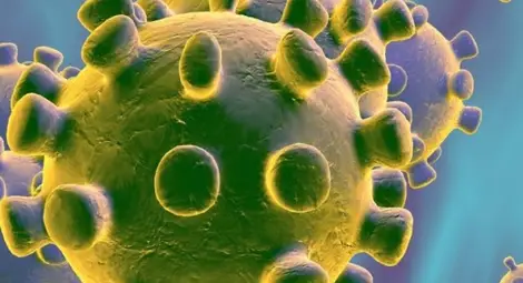 В търсене на ваксина: българка ще се зарази доброволно с коронавирус във Великобритания