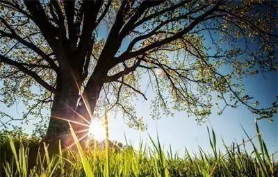 Предимно слънчево, само над Западна България ще вали Предимно слънчево, само над Западна България ще вали