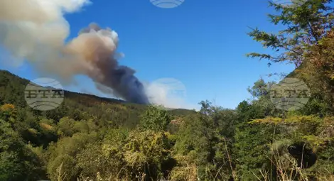 Снимка: БТА