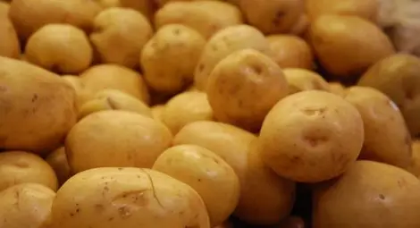 Картофите замениха парите в една от най-бедните общини у нас