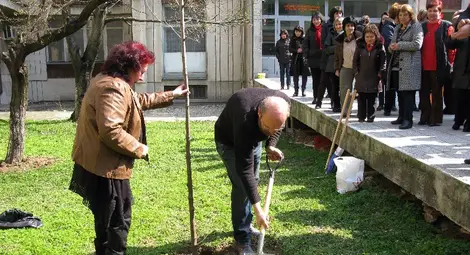 Статистическите изследвания с устойчив ръст от 7-8 години