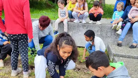Нови цветни градини променят облика на Караманово /галерия/