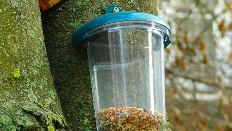 Екопроект превърна в рай за птиците русенската детска градина "Радост" /галерия/