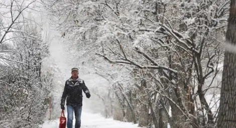 Издирват мъж, загубил се в снега на път за работа