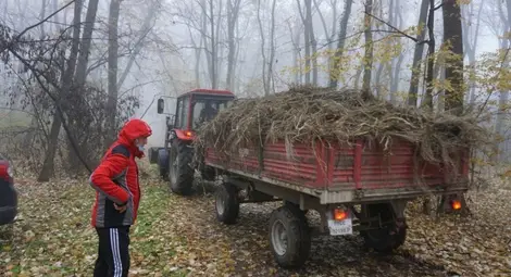 Над 40 тона боклуци събрани от николовчани в Лесопарка