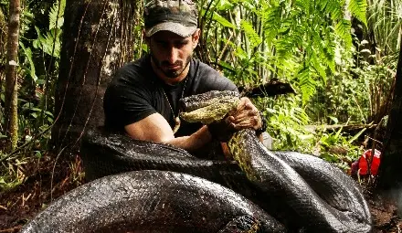 Discovery Channel излъчва безпрецедентния експеримент &bdquo;Анаконда: Погълнат жив&rdquo; на 14-и декември