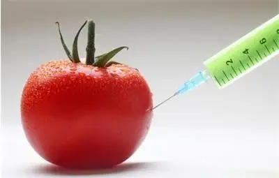 Държавите от ЕС няма да могат да забраняват сами вноса на ГМО