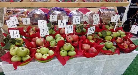 Ябълковото село Екзарх Йосиф за 11 път посрещна гости на уникалния си празник