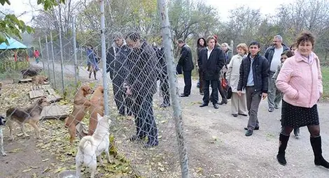 Министерски пратеници вземат модел от русенския кучкарник Министерски пратеници вземат модел от русенския кучкарник