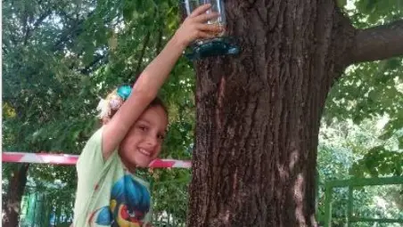 Екопроект превърна в рай за птиците русенската детска градина "Радост" /галерия/