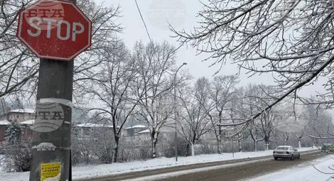 Снимка: БТА