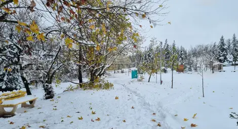 Снимка: БТА Снимка: БТА