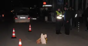 Блъснатият срещу „Жорела“ пресичал по диагонала