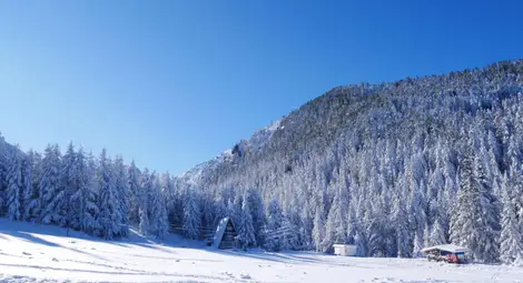 Слънчева събота, от неделя застудяване и сняг