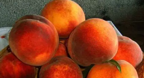 Нимфоманките обичат праскови, любителките на ананаса са моногамни 