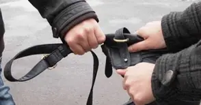 Съпротива и реакция на съседка осуетиха нагъл опит за грабеж на чанта с покупки