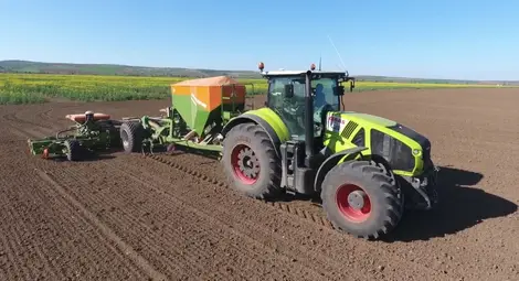 Засети са 250 хиляди  декара пролетници