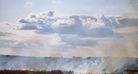 Пожар погълна 360 декара гора и пчелин край Ветово