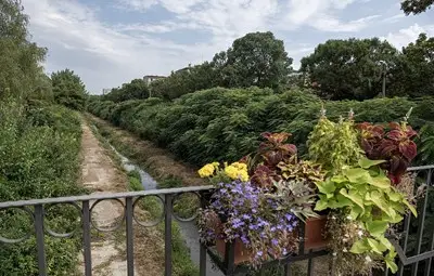 Глобиха предприятие в Раград за замърсяване на река Бели Лом Глобиха предприятие в Раград за замърсяване на река Бели Лом