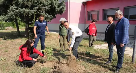 Засадиха дърво на приятелството между Русе и Гюргево  пред Първа пожарна служба