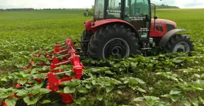 Център в Русе координира новите офиси на Национална служба за съвети в земеделието