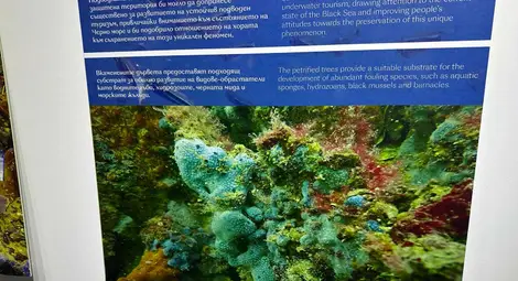 Знамето на Русе ще бъде част от следващата българска полярна експедиция