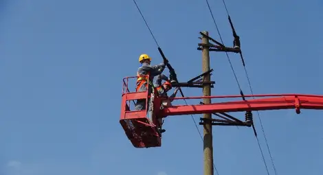 &bdquo;Енерго-Про&ldquo; пази птиците със специални изолации