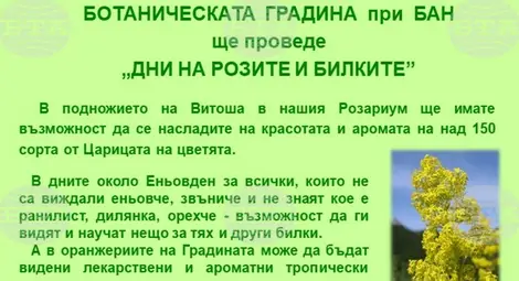 Снимка: БТА