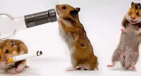 17 вредни навика, от които може да ни отърве... смартфонът 17 вредни навика, от които може да ни отърве... смартфонът