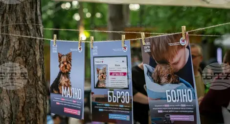 Снимка: БТА