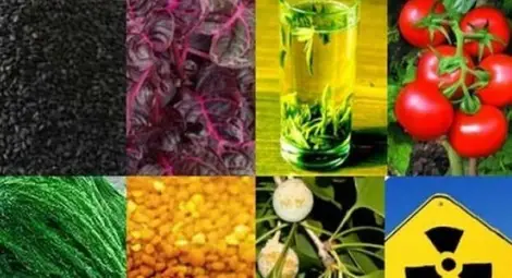 Разрешават радиация в храните и питейната вода