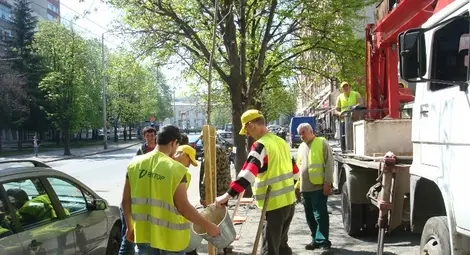 Кестени и акации раззеленяват улиците