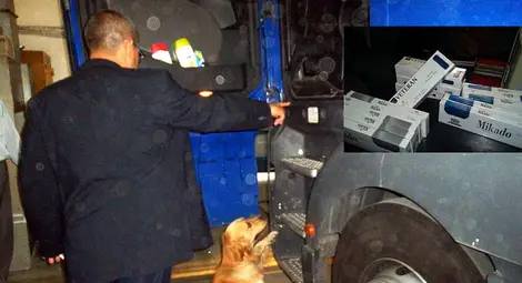Четириногият митничар Ран надуши контрабанда на 620 кутии цигари