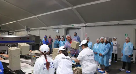 Зам. областният управител Георги Георгиев: Средно по 30&nbsp;000 яйца  на ден за консумация се произвеждат в Русенско,  бройлерите са около 1&nbsp;200 000