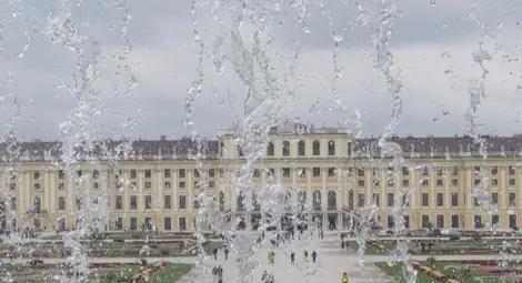 Лятна Виена - музика, туристи от цял свят, бира и наслада от живота