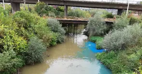 Четири фирми заподозрени за редовното оцветяване на Лома