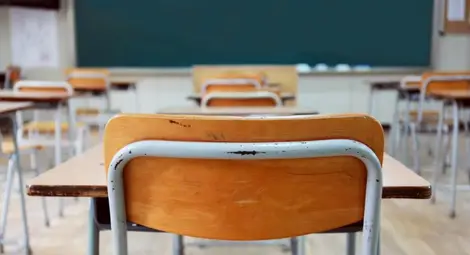 Започват проверки за качеството на млечните продукти по училищните схеми