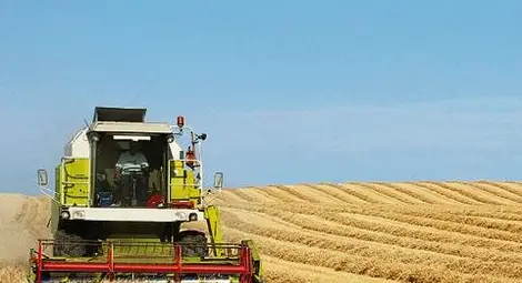 Прогнозират рекорден износ на пшеница от България